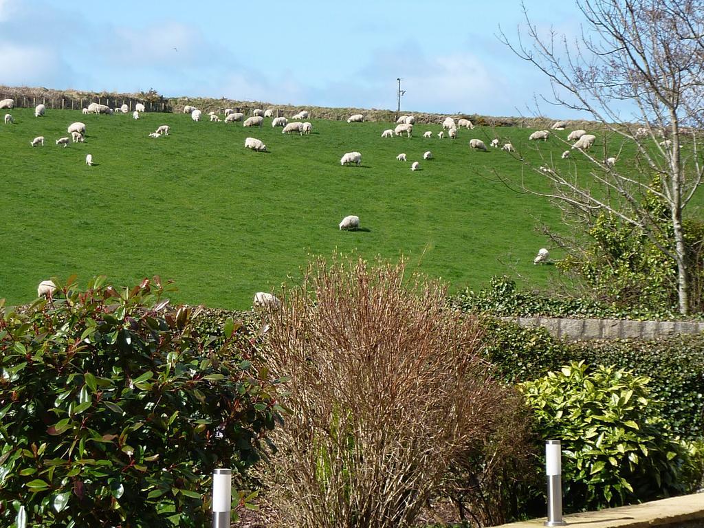 Yr Hen Felin - The Old Mill B&B Morfa Nefyn Luaran gambar